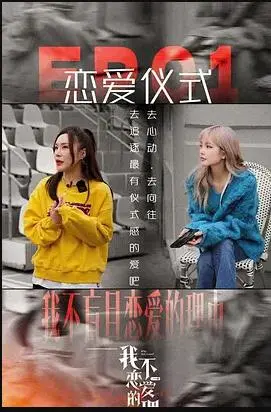 《我不恋爱的理由》：揭秘都市单身女性的内心世界
