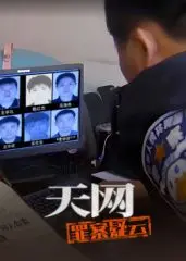 《天网：罪案疑云》深度解析：迷雾重重的真相，谁是幕后黑手？