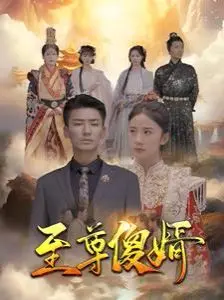 《至尊傻婿》：爆笑逆袭！废柴女婿如何一步步登上人生巅峰，上演最强反转？