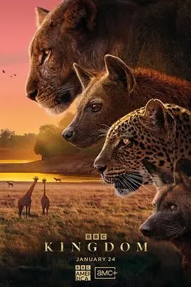 《动物王国2025》：未来世界的绝境求生，人类与变异生物的终极对决！