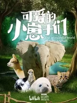 《可爱的小崽子们》：当萌宠治愈一切，这份温馨与欢笑你怎能错过？